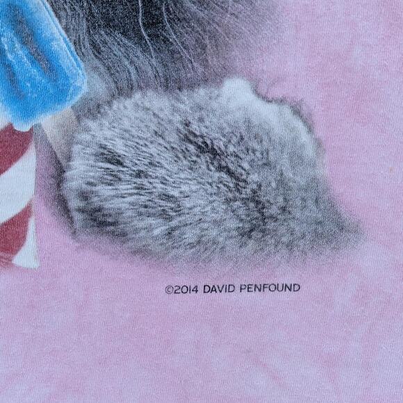 Fourth of July Patriotic Kitten Tshirt - Picture 3 of 4